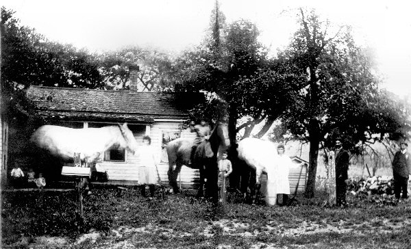The Quagliata Farm in Zurich, NY  c. 1921