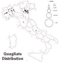 Quagliato distribution in Italy