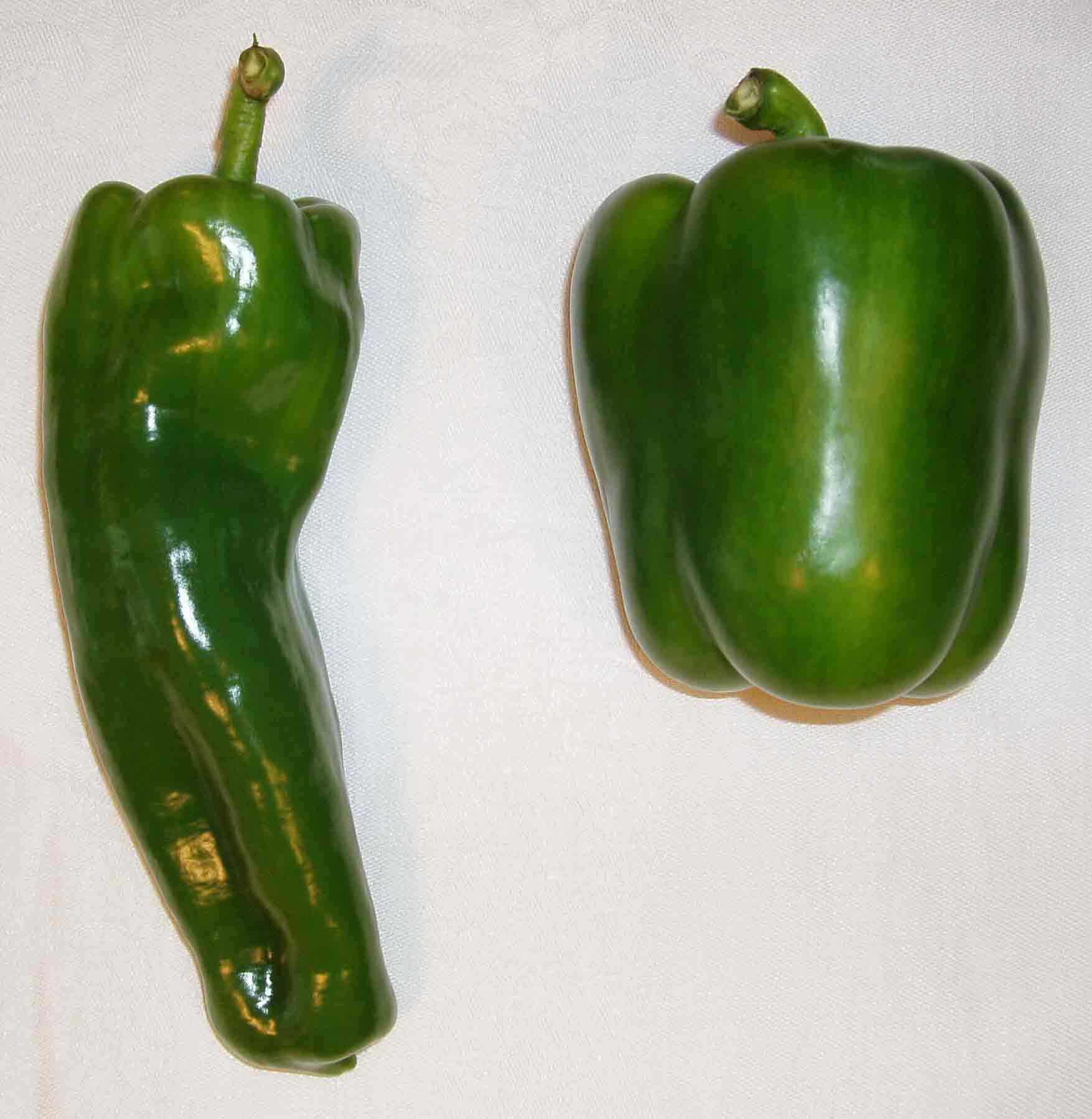 Green Pepper Identification Chart